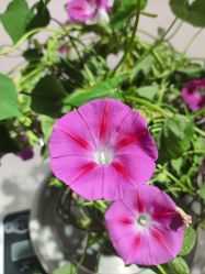 -今日陶艺(富力广场店)