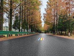 -塔川景区