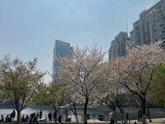 -西北湖绿化广场