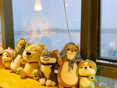 景观位-柴犬小屋·柴餐厅·狗咖食堂(金鼎广场店)