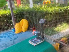 -上海玛雅海滩水公园