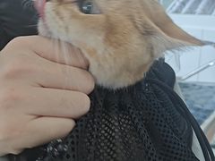 -美美宠物诊疗中心·异宠·骨科(滨江东信分院)