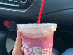 -南澳岛打卡果汁冰公司