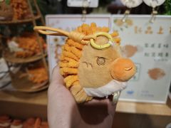 -猫的天空之城概念书店(苏州诚品店)