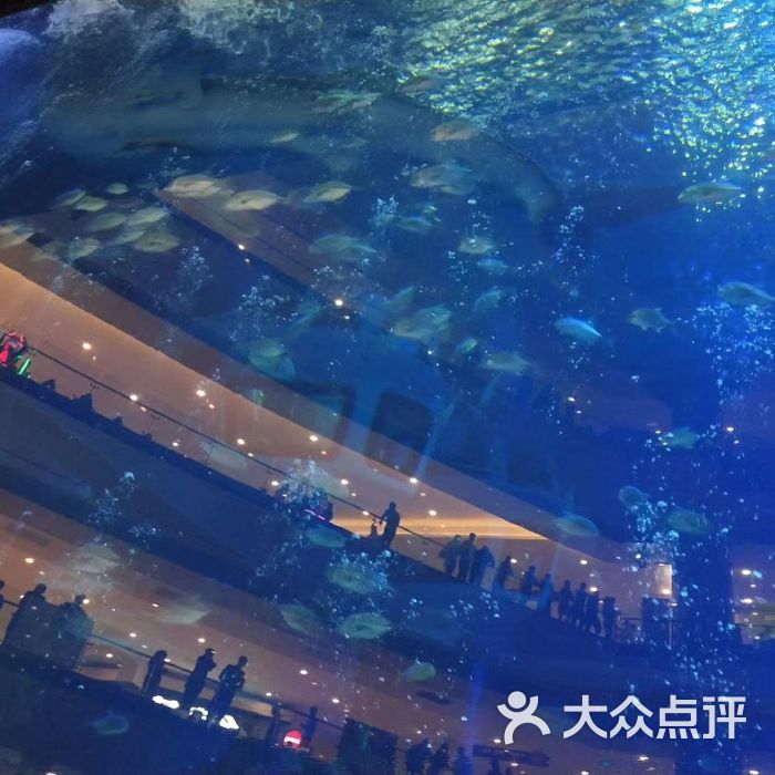 海濱城浩海立方海洋館