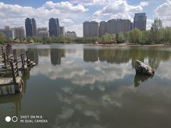 -群力丁香公园