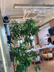 -一東造型烫发染发