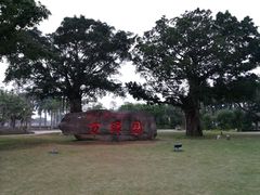 -万绿园