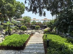 -蘇河湾·新鲁菜·泰山宴(泰山店)