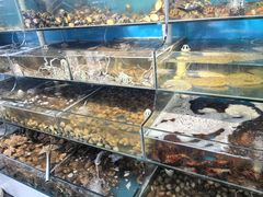 -仙螺岛海鲜自助餐厅(总店)