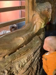 -Zoolung Zoolung动物主题公园(海信广场店)