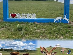 -乌兰布统草原