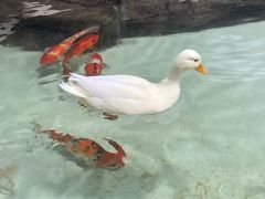 -海合安青岛极地海洋公园