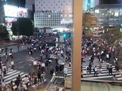 -涩谷区
