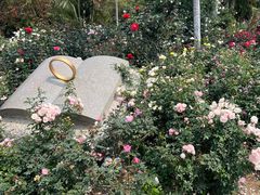 -人民公园(罗湖区)