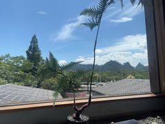 -宴武夷·匠心闽味(印象大红袍店)