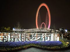 -南京眼步行桥