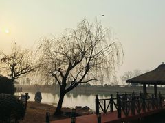 -苏州湾·王焰温泉