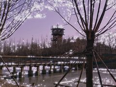 -东郊湿地公园