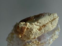 -Briant石窑面包(丰盛里店)