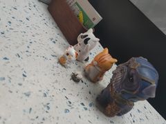 -半岛宠物医院24小时(白果林店)