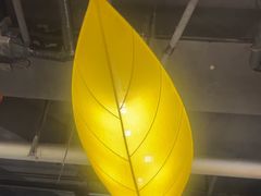 -云尊府云南菜·蒸汽石锅鱼(五棵松华熙店)