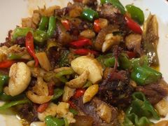 -柴窝堡22号辣子鸡·传承新疆菜