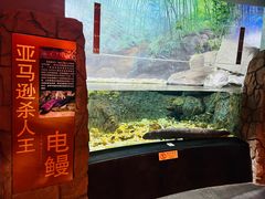 -成都浩海立方海洋公园
