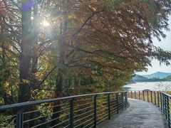 -凤岗南门山森林公园