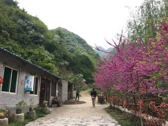 -抱龙峪