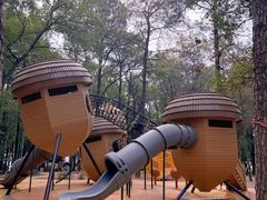 -东湖落雁景区