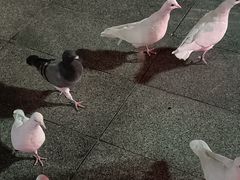 -万达广场(广州番禺店)