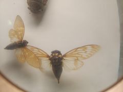 -陕西自然博物馆