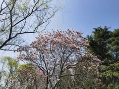 -白塘生态植物园