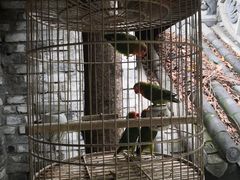 -鱼桥巷·美学川菜