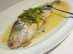 -老洋房花园饭店(绍兴路店)