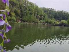 -常德桃花源景区