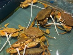 -龙宴海鲜城(经中路店)