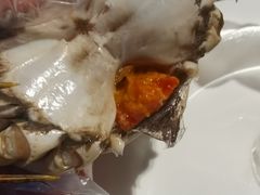 -樽宴酒楼·地道川菜·品质宴请