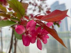 -西北湖绿化广场