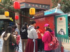 -VT101维多利广场