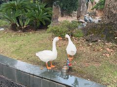 -华雅花园大酒店