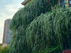 -府河摄影公园