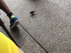 -皇室宴会厅