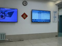 -北京观赏动物医院·24小时大型综合·猫专科·异宠专科