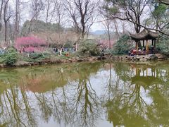 -杭州植物园