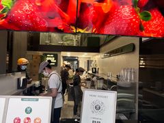 -茉酸奶(春熙路店)