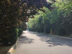 -金龙寺国家森林公园