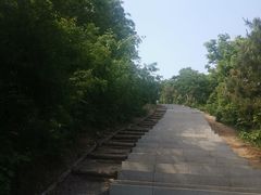 -棋盘山风景区