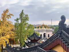 -上海东林寺(金山区)